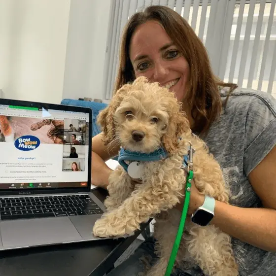 Smiling team member in an office